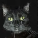 kothulix Discord Emoji