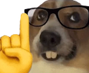nerddoggo Discord emoji