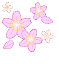 65_Kpurple_flowers