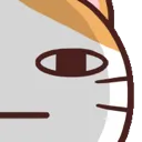 catstareright