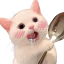 spoonhubgy