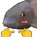 fishShy Discord emoji