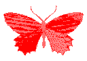 Butterfly Red ButterflyRed Discord Emoji