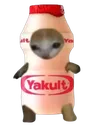 yakultket