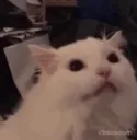 AAA