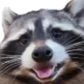 TPsmile