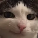 heh