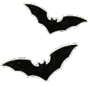 bats