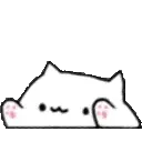bongotap