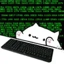 hacker hacker
