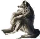 yalpha yalpha
