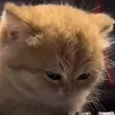 emoji_47 emoji_47
