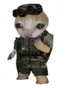 reagentkitty