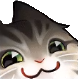 rrBlckShk_CatSmug custom emote - JamWith