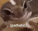 pathetic