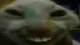 xdd