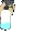 spraybottle