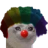 catclown
