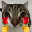 melisa7