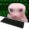 Hacker