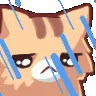 sadrainkitty