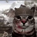 militarycat