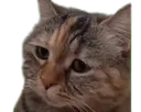 OKORARE