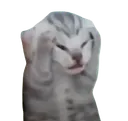 NAKI NAKI