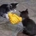 thts_handshake
