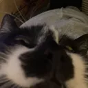 muehehehe