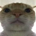 emoji_20