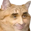 zemmour_cat