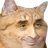 :zemmour_cat: zemmour_cat