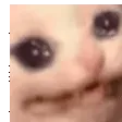 aughshake