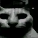VoidCar