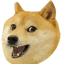 doge_yay Discord Emoji