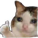 car_ok