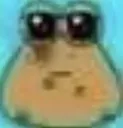 poo