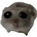 sadHamster