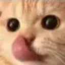 licky