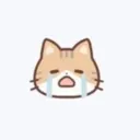 Cat Cry cat_cry Discord Emoji