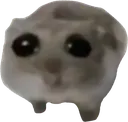 Saddies