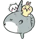 Sunfish