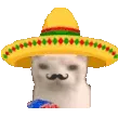 muchogato muchogato