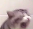 Ele_Scream