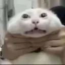 __