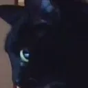 kittysideeye