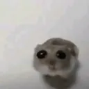sad