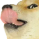 Dogelick Discord Emoji