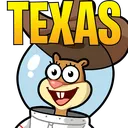 SandyTexas